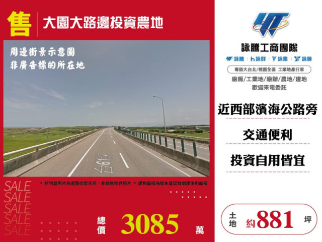 大園大路邊投資農地