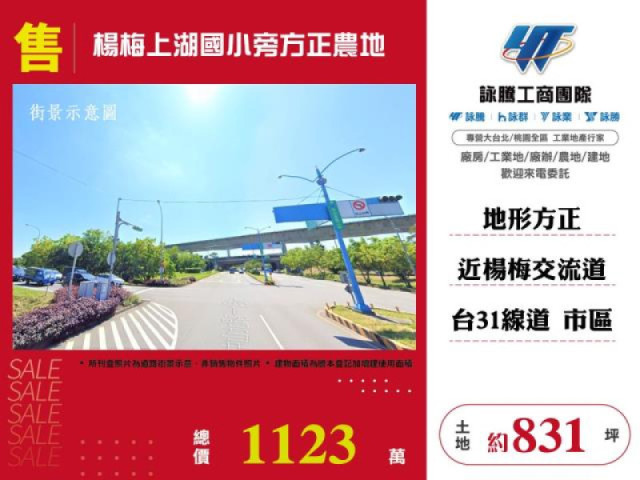 楊梅上湖國小旁方正農地