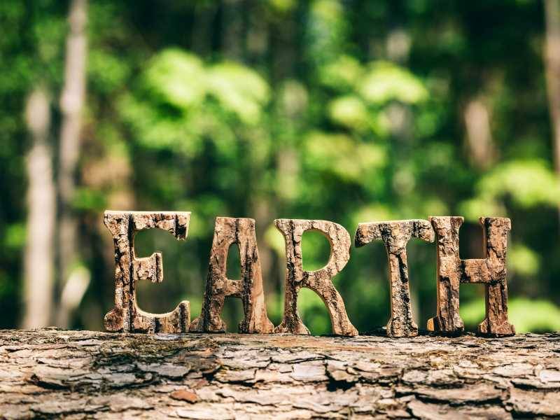 碳費 vs. 碳關稅：一文看懂「自主減量計畫」如何幫工廠節省 80% 碳費