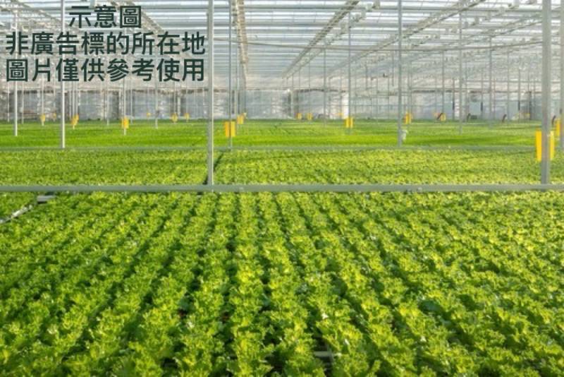 新屋大坡農地出售，新屋區新湖路附近農地出售