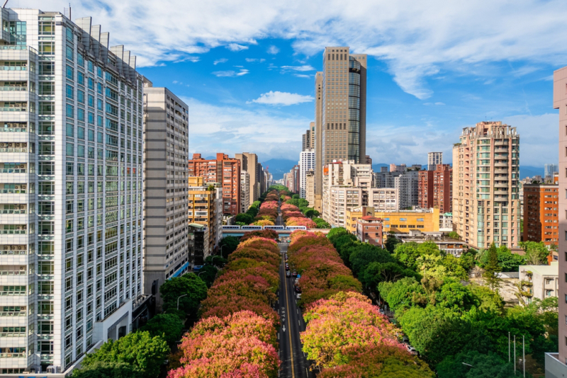 高房價下的台北房市:哪些族群能在這片市場站穩腳步?
