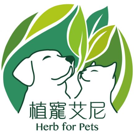  愛護毛小孩：寵物食品推薦《植寵艾尼》，只為寵愛您的寶貝 