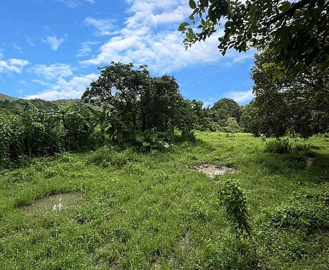 【買地必讀】土地買賣陷阱大解析:真實案例+專家建議一次看懂!