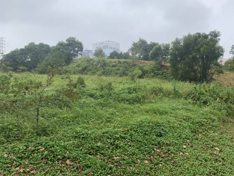 龜山華亞科技園區內乙工土地出租,龜山區振興路附近工業地出租