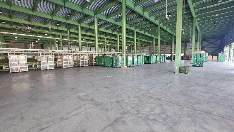 中壢台31腹地碼頭挑高廠房出租,中壢區福嶺路附近廠房出租
