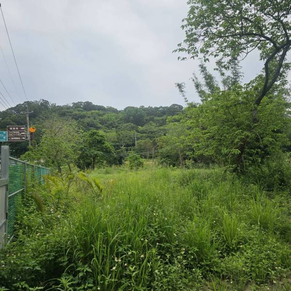 新竹峨眉正台三線旁漂亮休閒農地出售,峨眉鄉快樂路附近農地出售