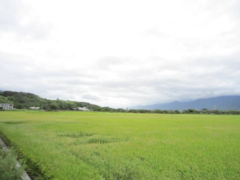 內壢近大江旁漂亮一般農地出售,中壢區合圳北路附近農地出售