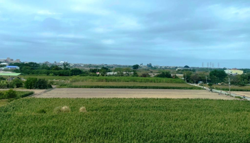 為何共有土地會被查封？三大原因與解除方法，助你走出困境