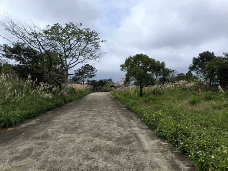 龍潭一般農窯業農地出售，龍潭區健行路附近農地出售4.jpg
