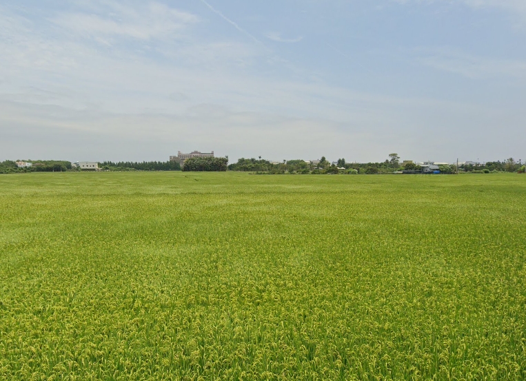 6656-彰化員林交流道區段徵收田( C )-照片3.jpg