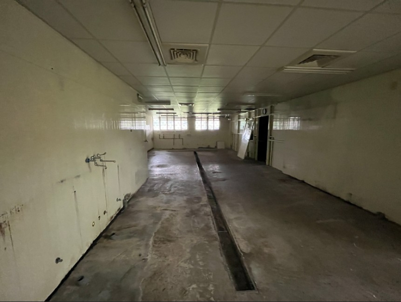蘆竹南崁交流道旁廠房出租，蘆竹區榮興路附近廠房出租2.jpg