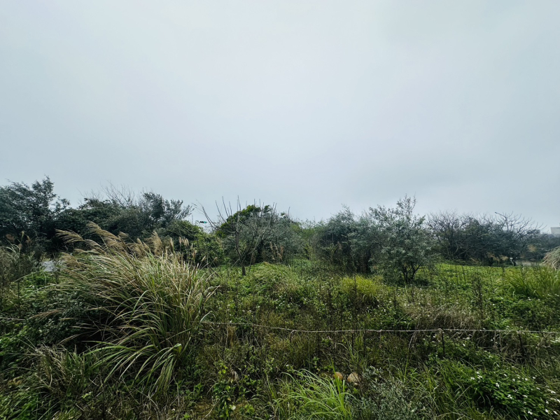S__180215818_0.jpg