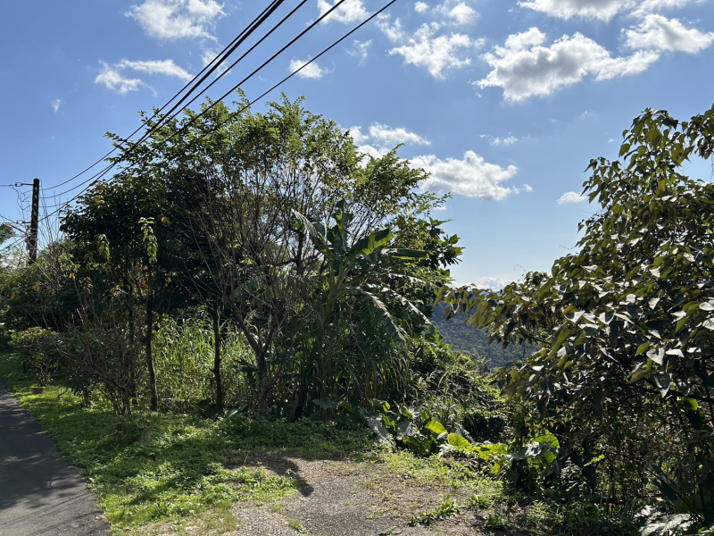 S__121389086_0.jpg