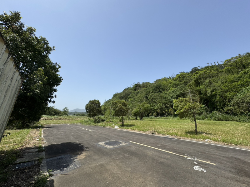 C29C30-1.jpg