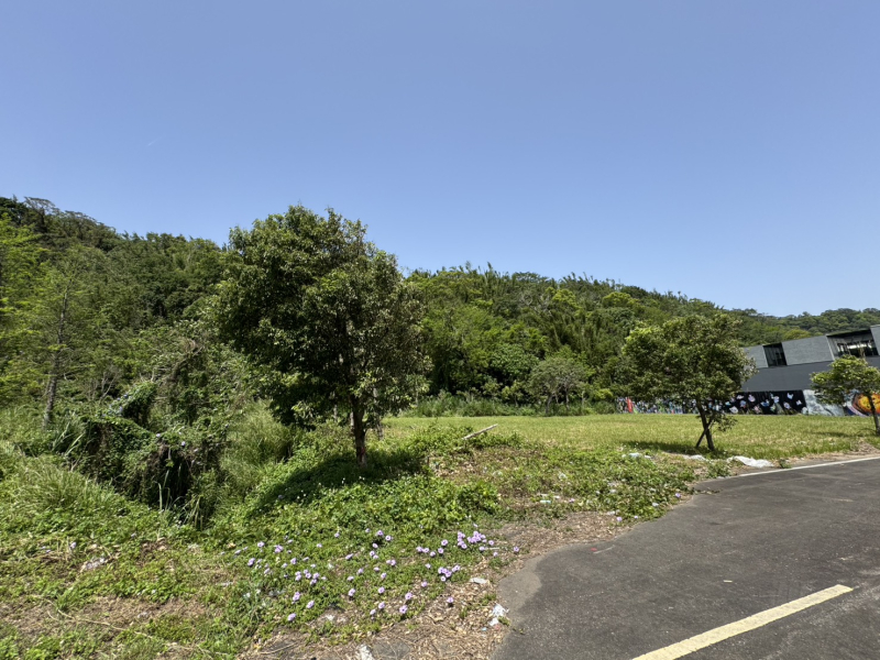 S__87662626_0.jpg