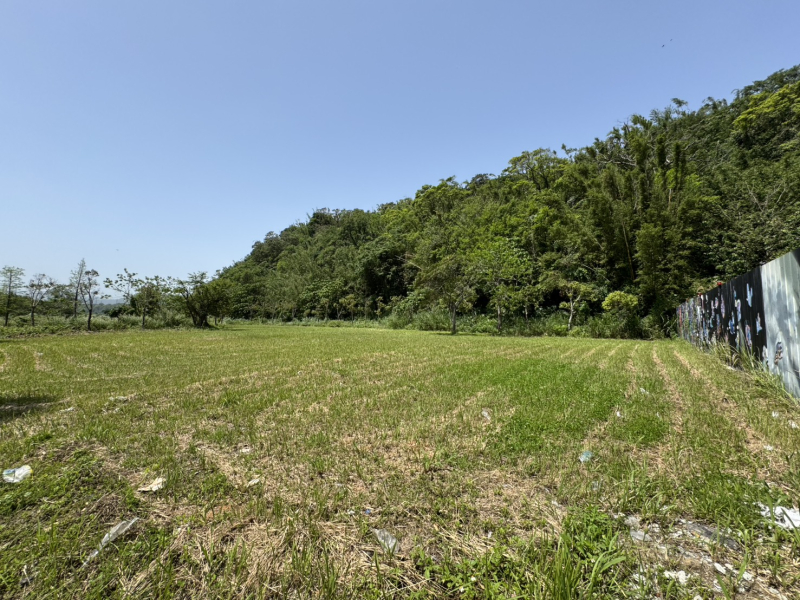 C27-1.jpg