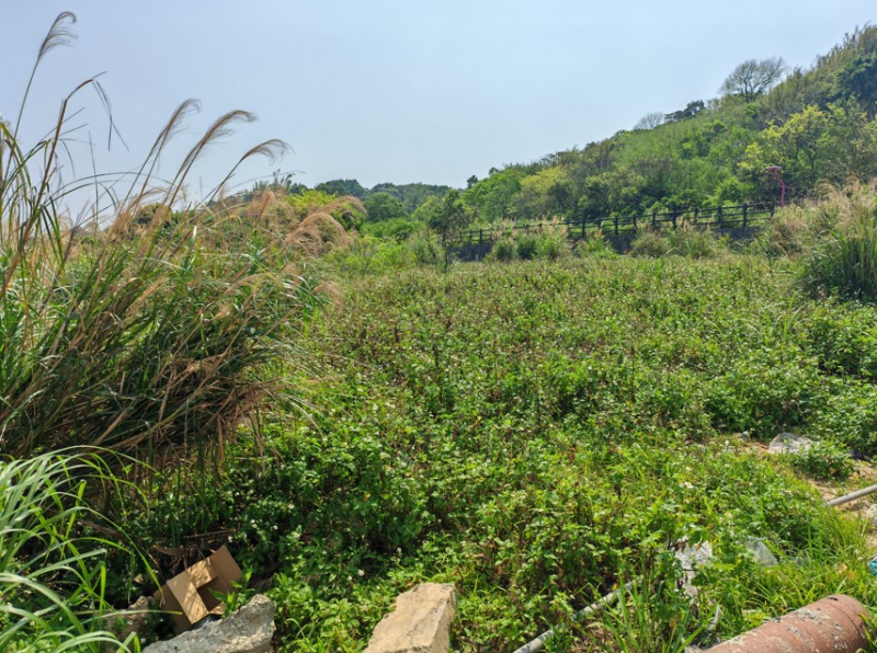 桃園機捷A10建地出售，蘆竹區山鼻一路附近建地出售.jpg