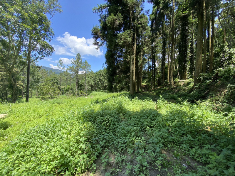 S__7135246_0.jpg