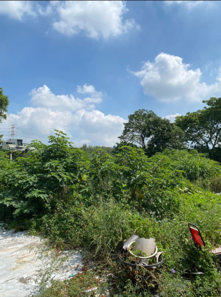 蘆竹中工擴大買地送農舍出售，蘆竹區文新街附近農地出售4.jpg