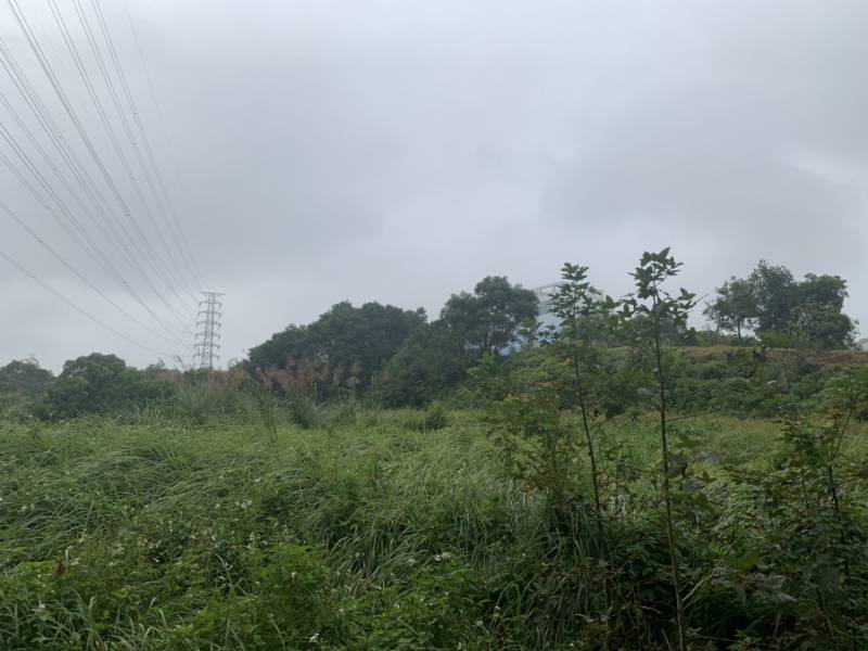 S__102334500.jpg