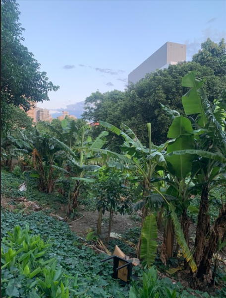 板橋稀有乙工工業地出售，板橋區大觀路附近工業地出售.jpg