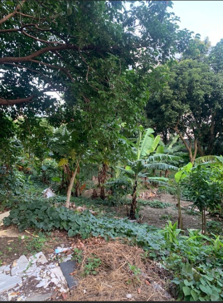 板橋稀有乙工工業地出售，板橋區大觀路附近工業地出售2.jpg