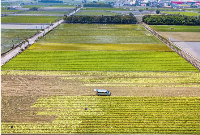 土地開發人必讀:國土計畫法下最賺錢的3種轉型方式