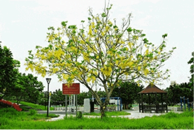 🏢 經濟部大甲幼獅產業園區服務中心