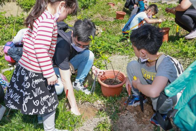 信義、冠德、根基都在做：房地產業的自然碳匯實踐