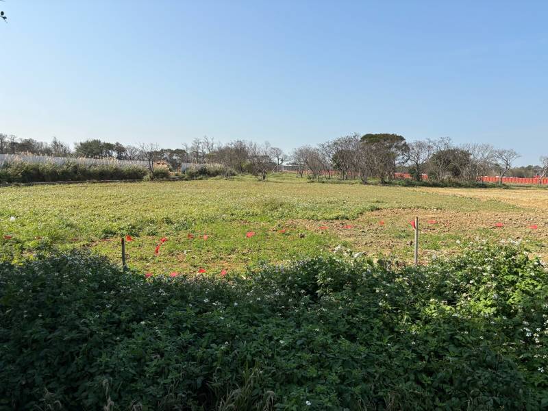 大園航空城面寬安置建地出售,大園區航站北路附近建地出售