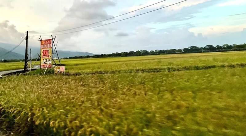 📈家產保命必看!農地借名登記、贈與、請求權時效一次搞懂