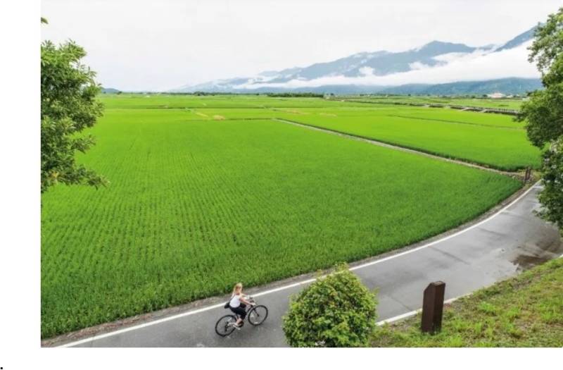 🚜轉型工業地翻5倍!農地蓋工廠流程、法規、賺錢公式完整攻略
