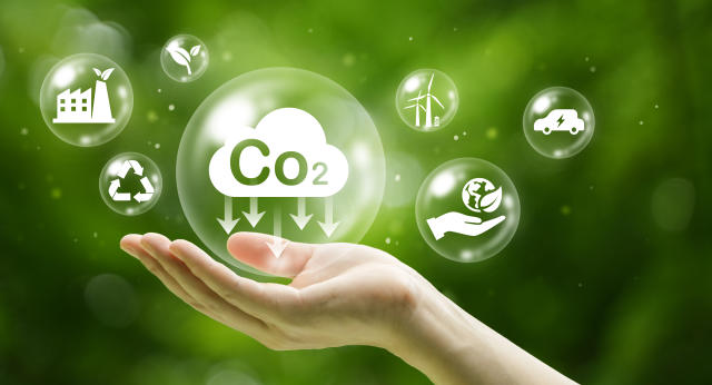 自然碳匯 vs 人造碳匯：2026 碳權、碳費與投資風險一次看