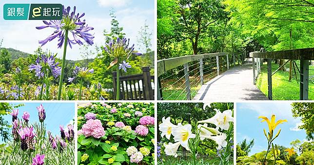 賞花+打卡+抽獎!2025內雙溪愛情花花季超夯活動與拍照熱點公開
