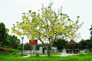 💡經濟部大甲幼獅產業園區事業名錄 2