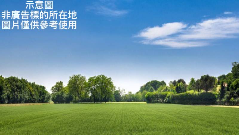  新屋大坡國小旁農地出售，新屋區東福路附近農地出售 