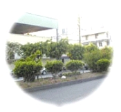 🚀經濟部南崗(兼竹山)產業園區事業名錄 1