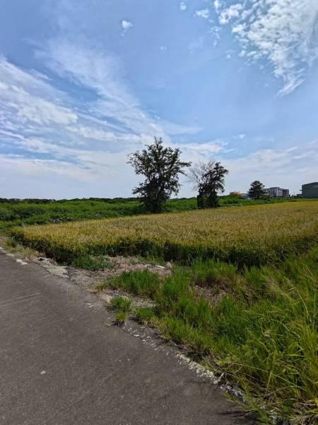 桃園大園農地推薦｜沙崙段471坪一般農業區農牧用地投資分析