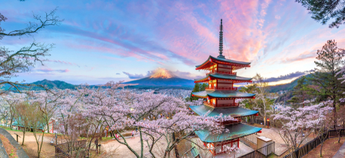 ✈️ 減班＋缺機師雙殺！東京、大阪、首爾亞洲航線更貴？