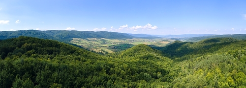 🌳ESG熱潮引爆!新竹五峰「整座山」賣5億,碳權市場投資大趨勢🌳