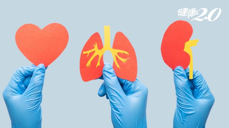 糖尿病、心臟病、腎病三合一?FFL三護配方為你守護健康!