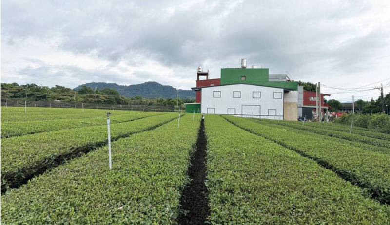 銅鑼圈段工業地漲聲再起!桃園航空城利多+智慧物流園區發威,2025年行情預測搶先看