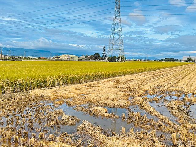 「農地規劃新時代!雲林跟進屏東,國土計畫法背後的重大改變」.jpg
