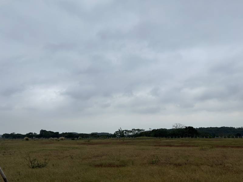 S__132014084_0.jpg