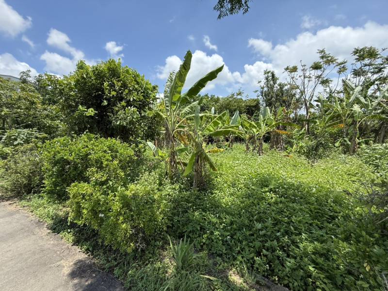 S__92241963.jpg